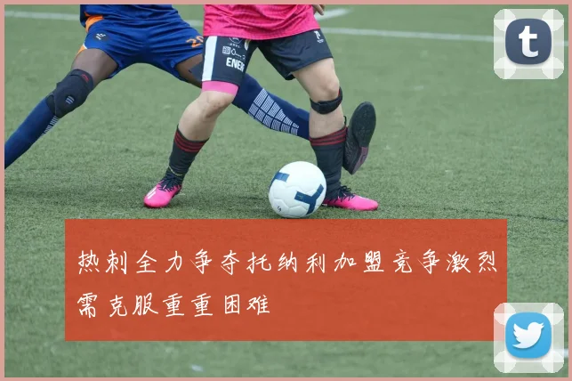 热刺全力争夺托纳利加盟竞争激烈需克服重重困难