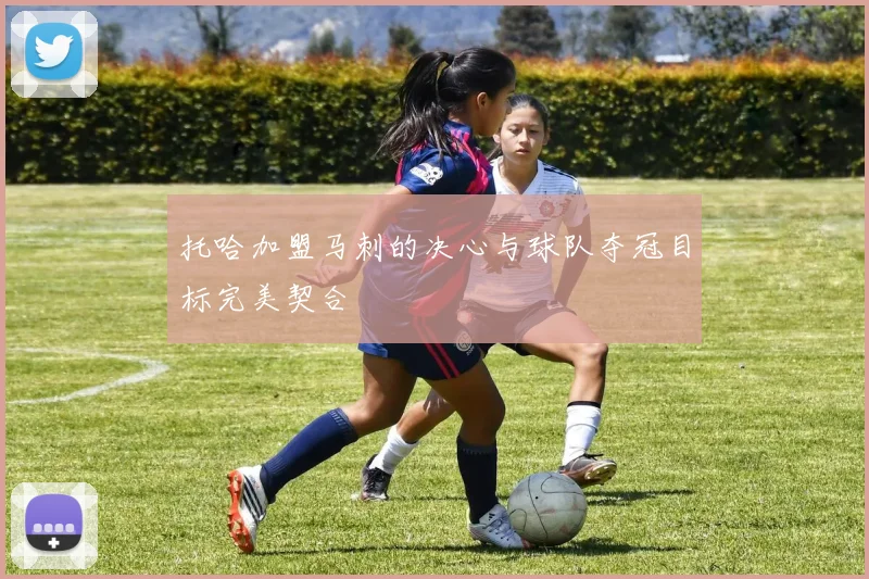 托哈加盟马刺的决心与球队夺冠目标完美契合